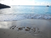 Rock Date 11-22-11