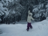 Playing in the Riva Trees at Vail