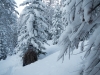 That's waist deep powder