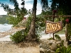 Foxy's, Jost Van Dkye, BVI