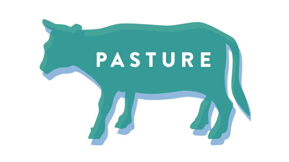 Pasture - Richmond, Virginia Pasture - Richmond, Virginia